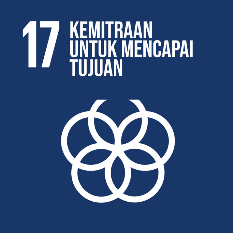 sdgs 17